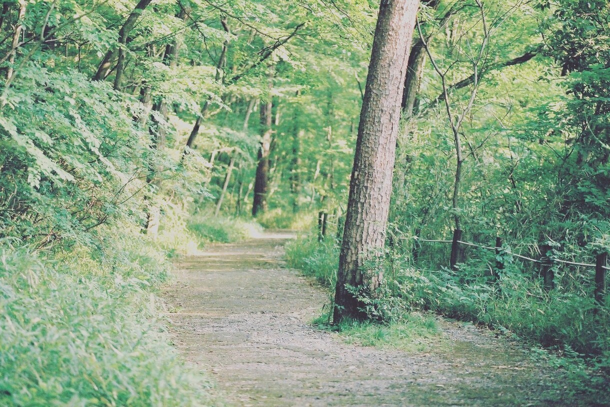 看護師ですがお話し聴かせて頂きます 話したら楽になるかも……そう思ったら！ イメージ1
