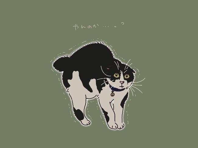 猫ちゃんのイラストを描いています イラストを通じて、皆さまを笑顔にしたいです。 イメージ1