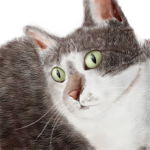 犬猫のイラスト描きます 肌や毛並み含む全ての質感に自信あり イメージ1