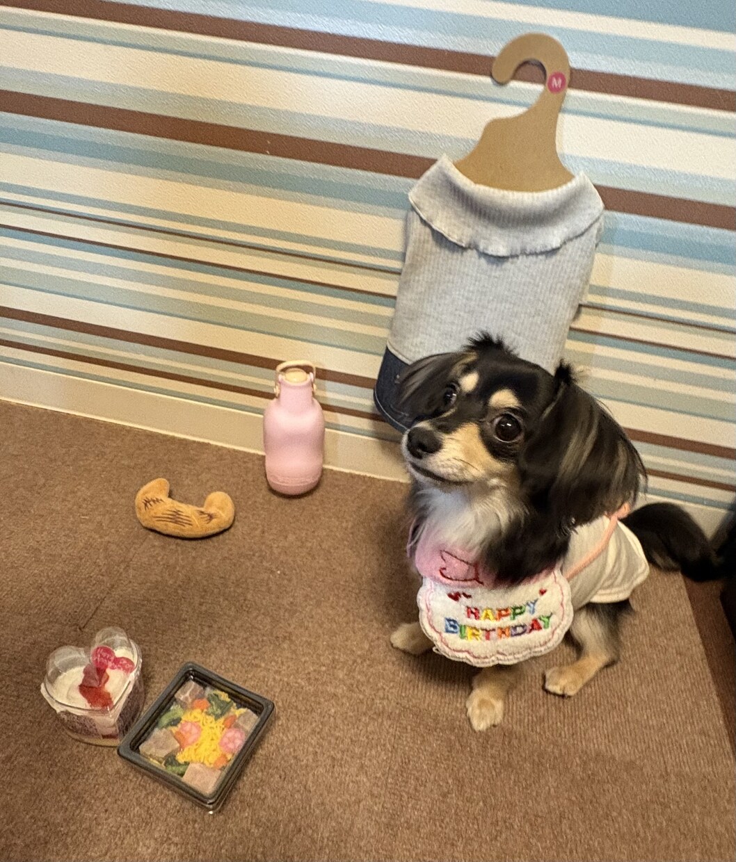 子犬の相談承ります わんちゃん迎えたばかりで不安な方、寄り添います。 イメージ2