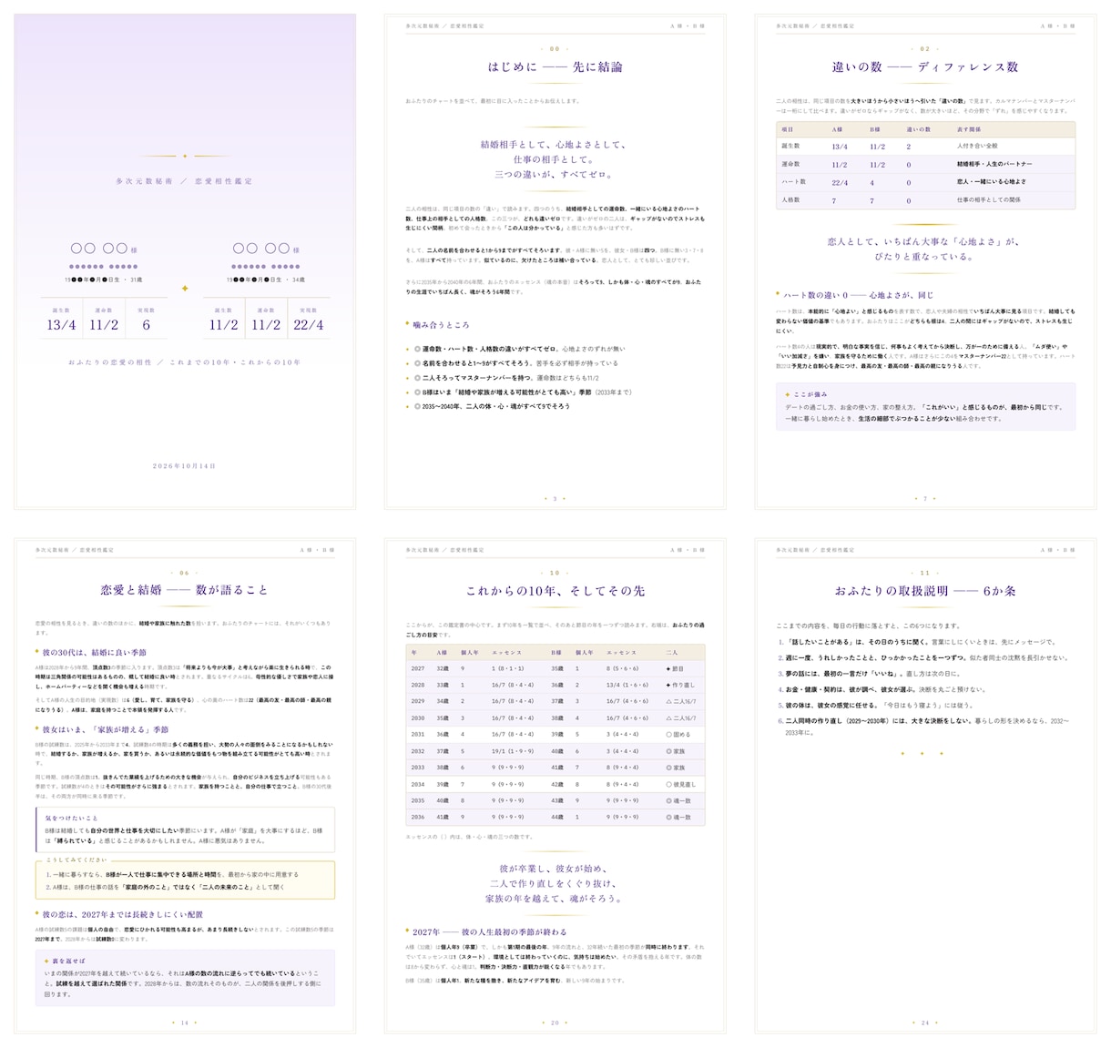数秘術20年年表｜相性鑑定書を2万文字超で作ります 夫婦・子供・恋愛・ビジネス相性鑑定｜2人の特性で対策を練る イメージ4