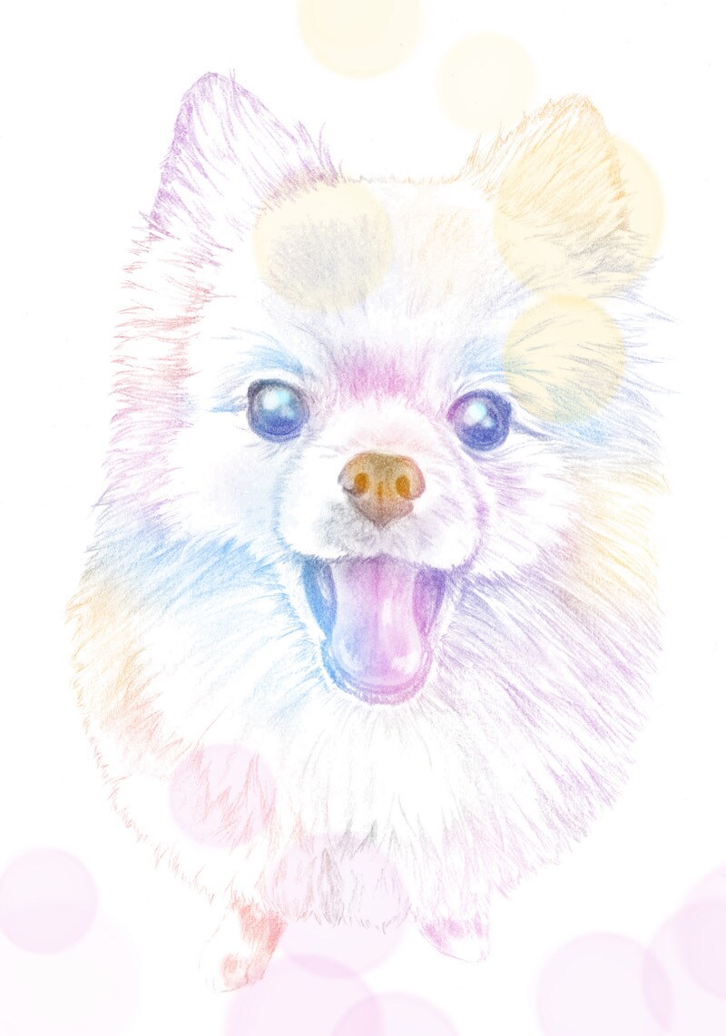 大事な「ウチの子」のカラフルアートをお描きします 鉛筆線画に色を入れてアートのようにカラフルに飾ります イメージ4