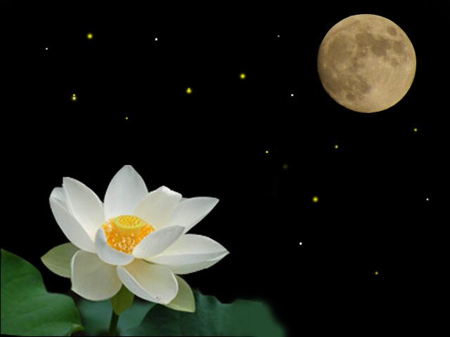 はじめまして様専用、一問一答お試し占いします SAKURA_TAROTのタロット占いを試してみたい方へ。 イメージ1