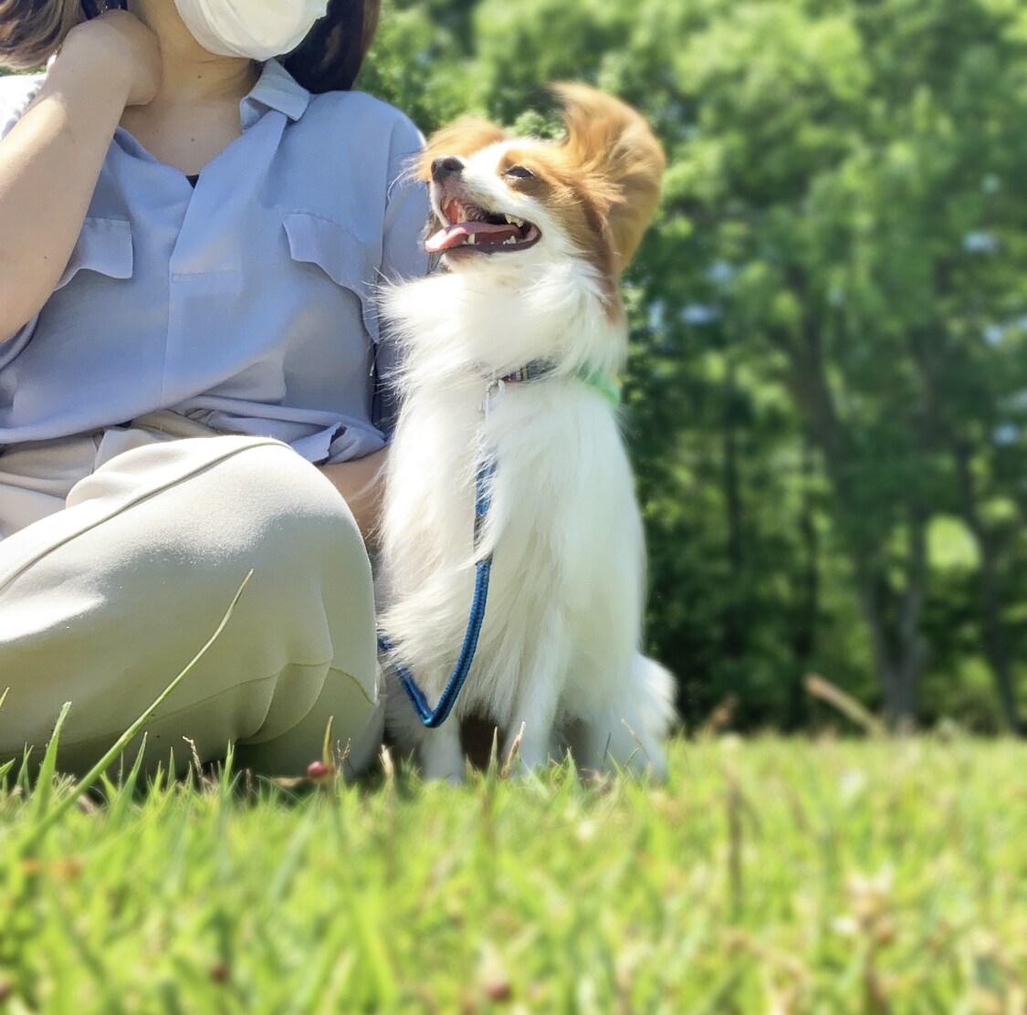 ドッグトレーナー、愛玩動物飼養管理士が教えます 楽しくコミュニケーションを取りたい方、お悩み解消したい方必見 イメージ1