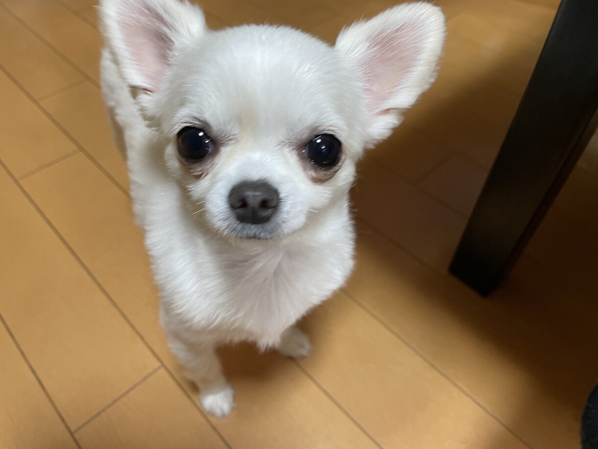鬱や摂食障害、HSPでお悩み方のお話を聞きます 身近な人には話せない様な心のお悩みを聞かせてください♪ イメージ5