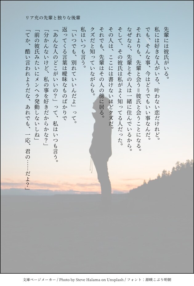 妄想を文字にしたい方！そんな方に小説を書きます あなたが望む理想を提供します！ イメージ3
