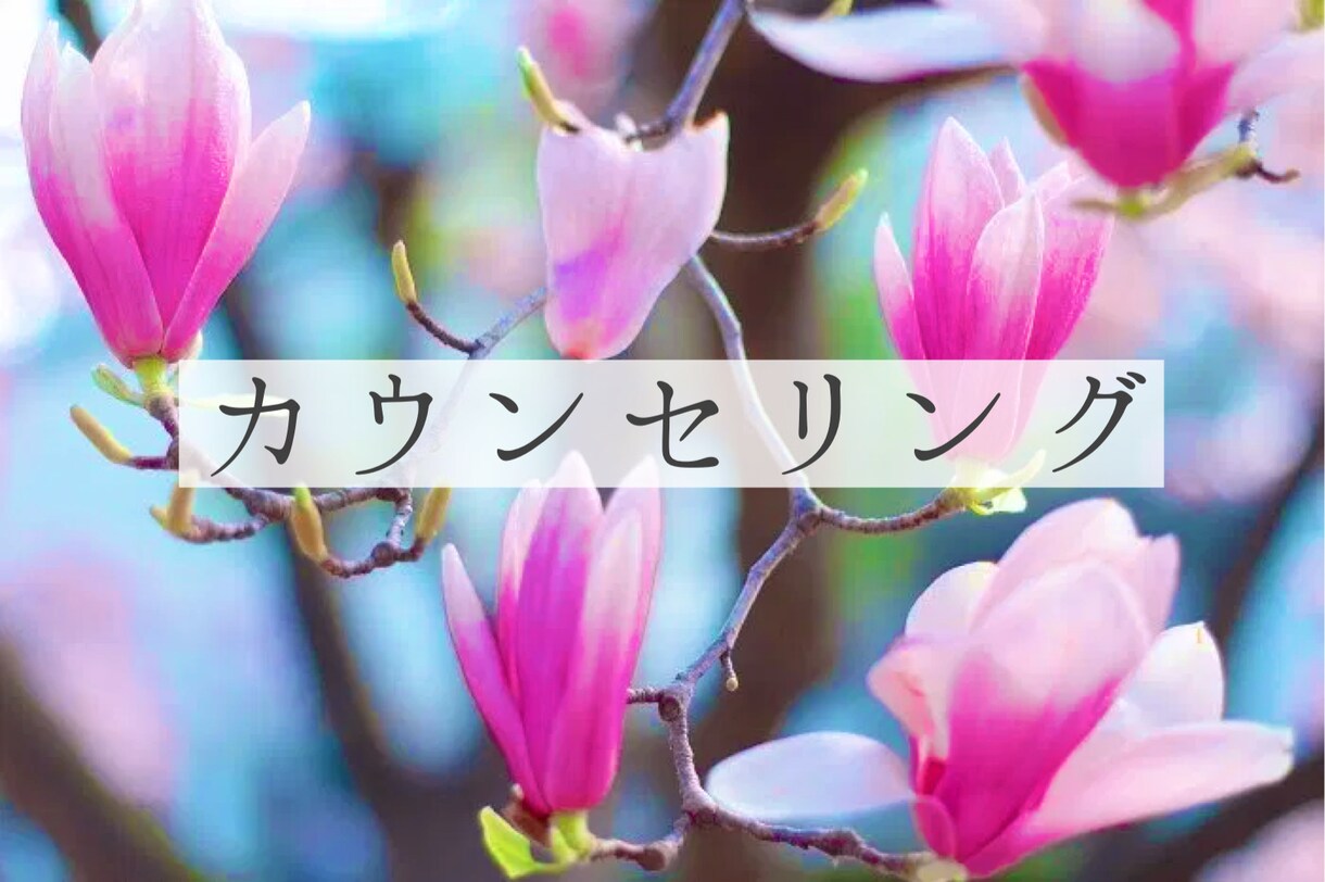 精神保健福祉士がお話聞きます ただ話したいだけの方も、整理が必要な方も、お気軽にどうぞ！ イメージ1