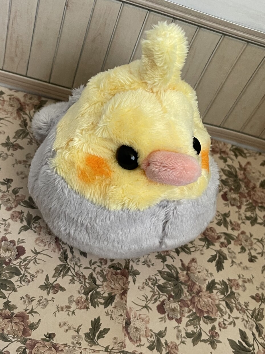 小鳥さん制作します ご依頼後制作開始しますよろしくお願い致します イメージ4
