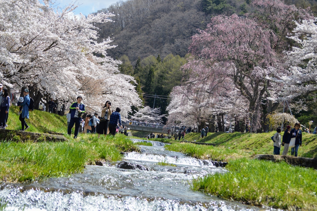 写真撮影します 地元福島の魅力ある風景や町並みをPR用でお使いください。 イメージ1