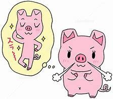 これなら出来る♡満足！魅力ﾀﾞｲｴｯﾄ法紹介します 無理せず！お金掛けず！魅力的なﾀﾞｲｴｯﾄを1000円で♡ イメージ4