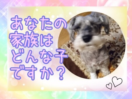 あなたの愛するペットYou Tubeで紹介します 愛するペットの大切な１日を思い出に残しませんか☺️？ イメージ1