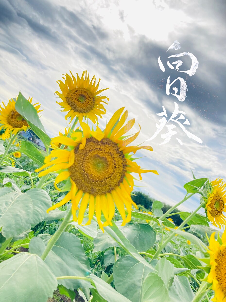伝えたい言葉を字で表現します 手紙に書くことはもちろん、写真等に入れ込むことも可能です! イメージ2