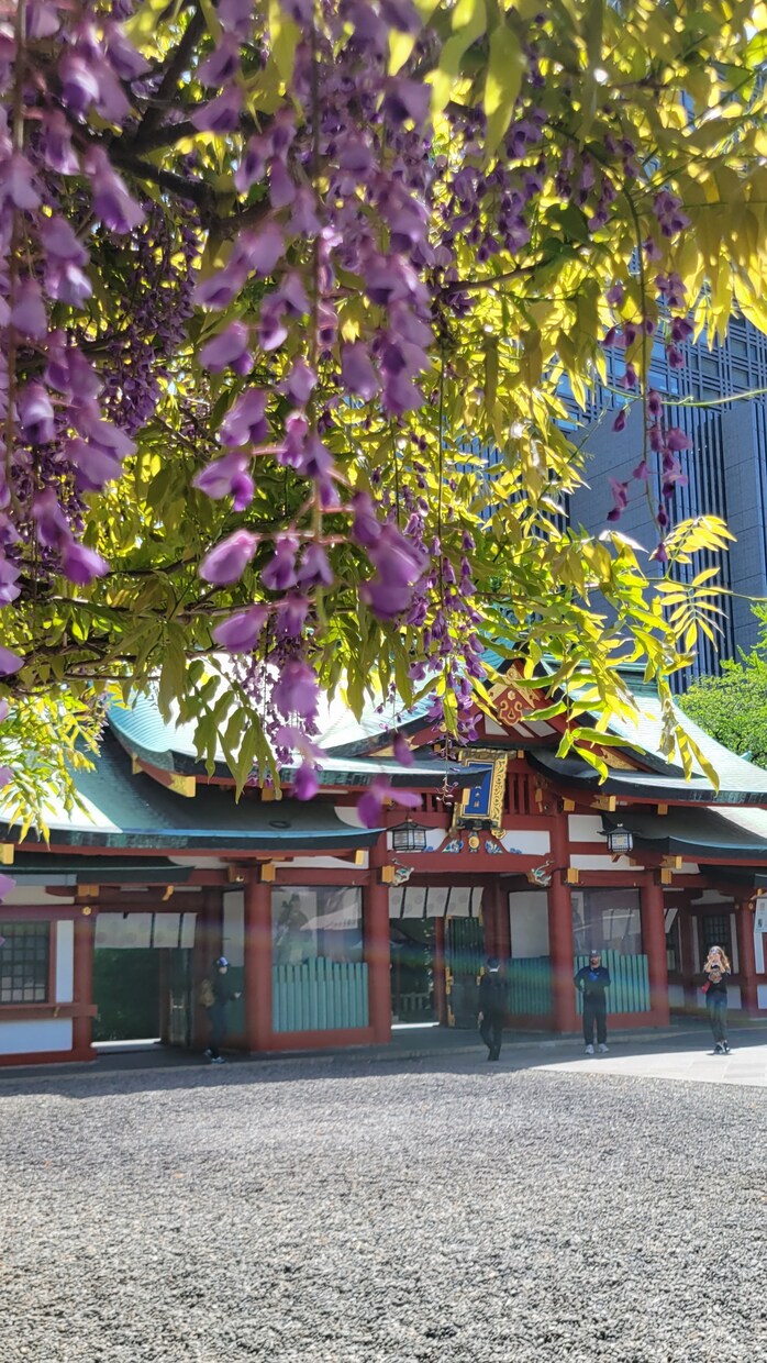 魂の氏神様✨産土神様✨My神社を神様に伺ってきます 相性のいい・Myパワースポット神社、願いを叶いやすくする方法 イメージ5
