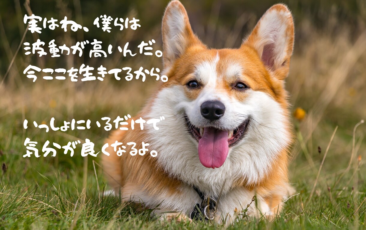 あなたは愛と光の存在です。自己肯定感を取り戻します 自分軸で生きよう♪ありのままのあなたは素晴らしい♪ イメージ9