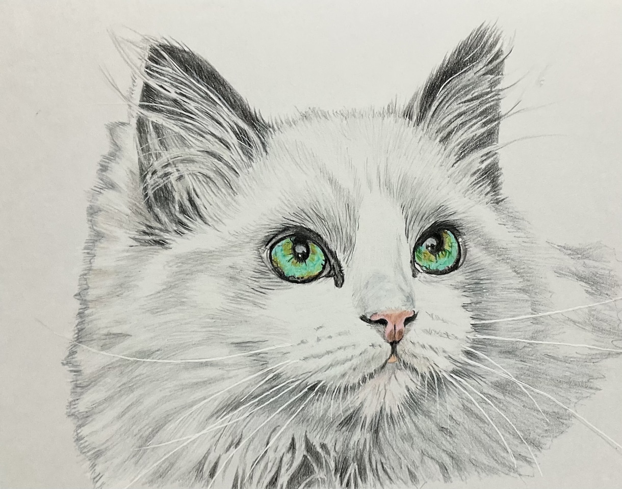 ペット似顔絵を色鉛筆で2Lサイズに描きます 写真を元に色鉛筆でペットの似顔絵をリアルに描きます。 イメージ7