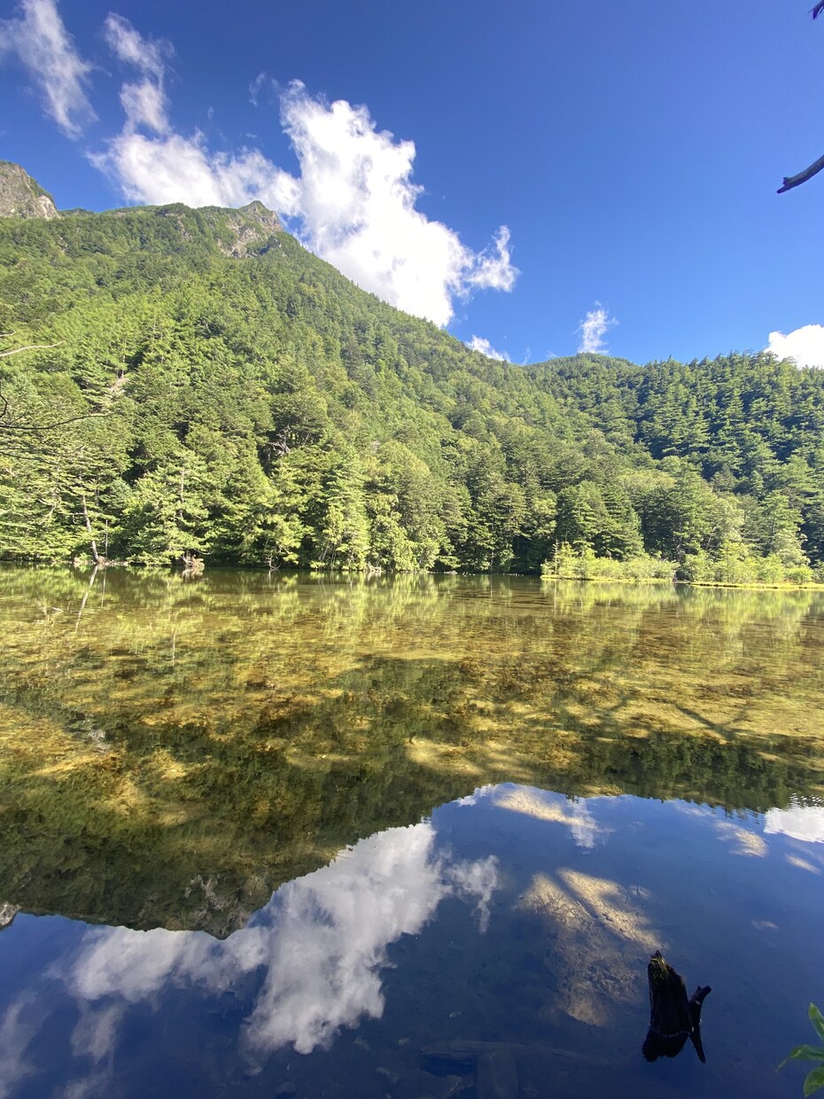 本当の自分に逢いに行くセッションを提供します 毎日がもっと軽やかに楽しくなる、ビデオによるコーチングです♡ イメージ1