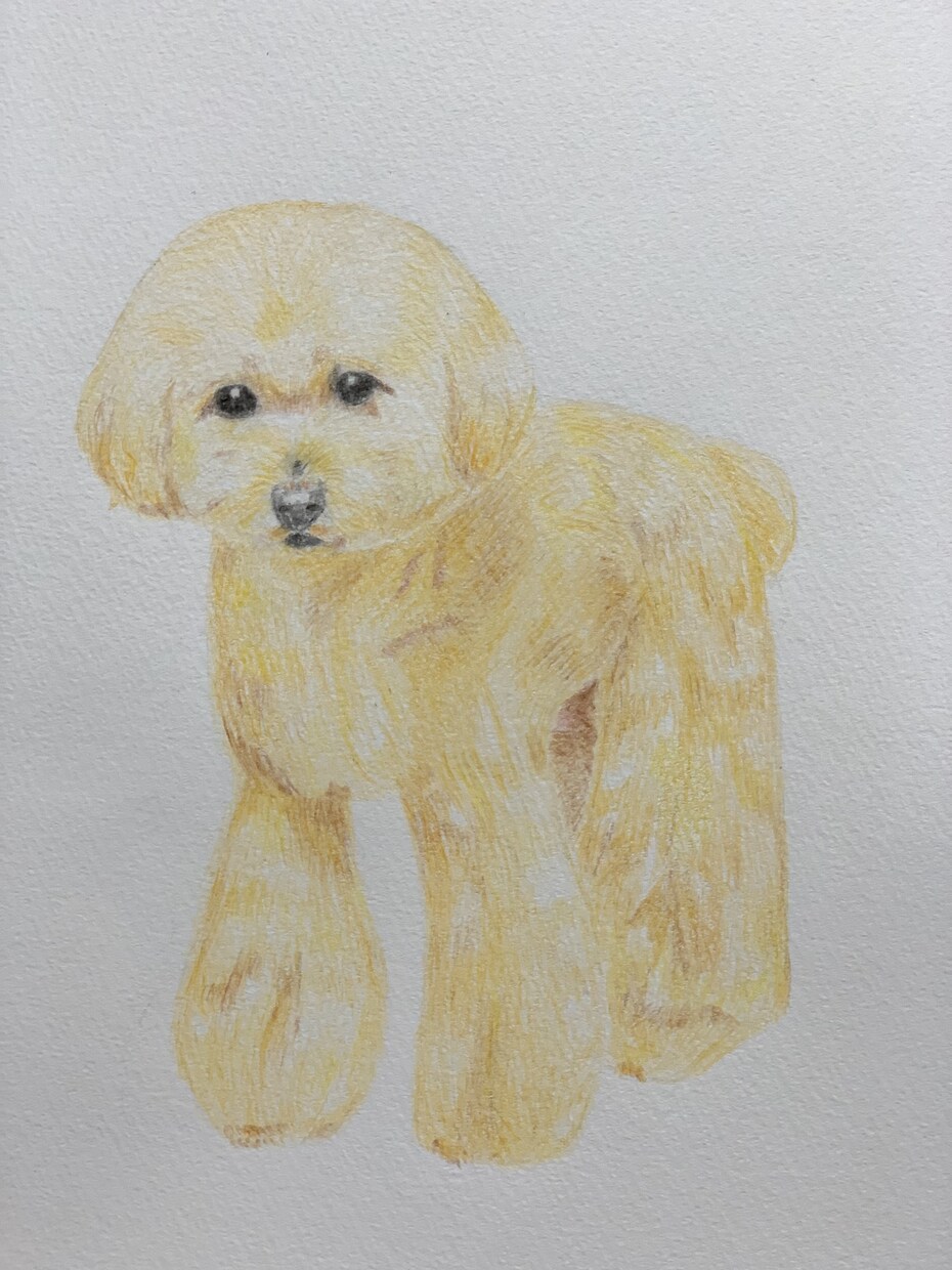愛犬、愛猫の似顔絵描きます わんにゃんのケア、美容のプロが手がける真心込めた一枚を イメージ2