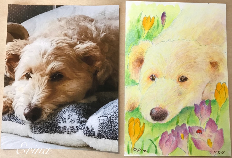 ペット似顔絵を誕生花と一緒に描きます 大切な家族の似顔絵を誕生花とともに描きます。郵送対応致します イメージ2