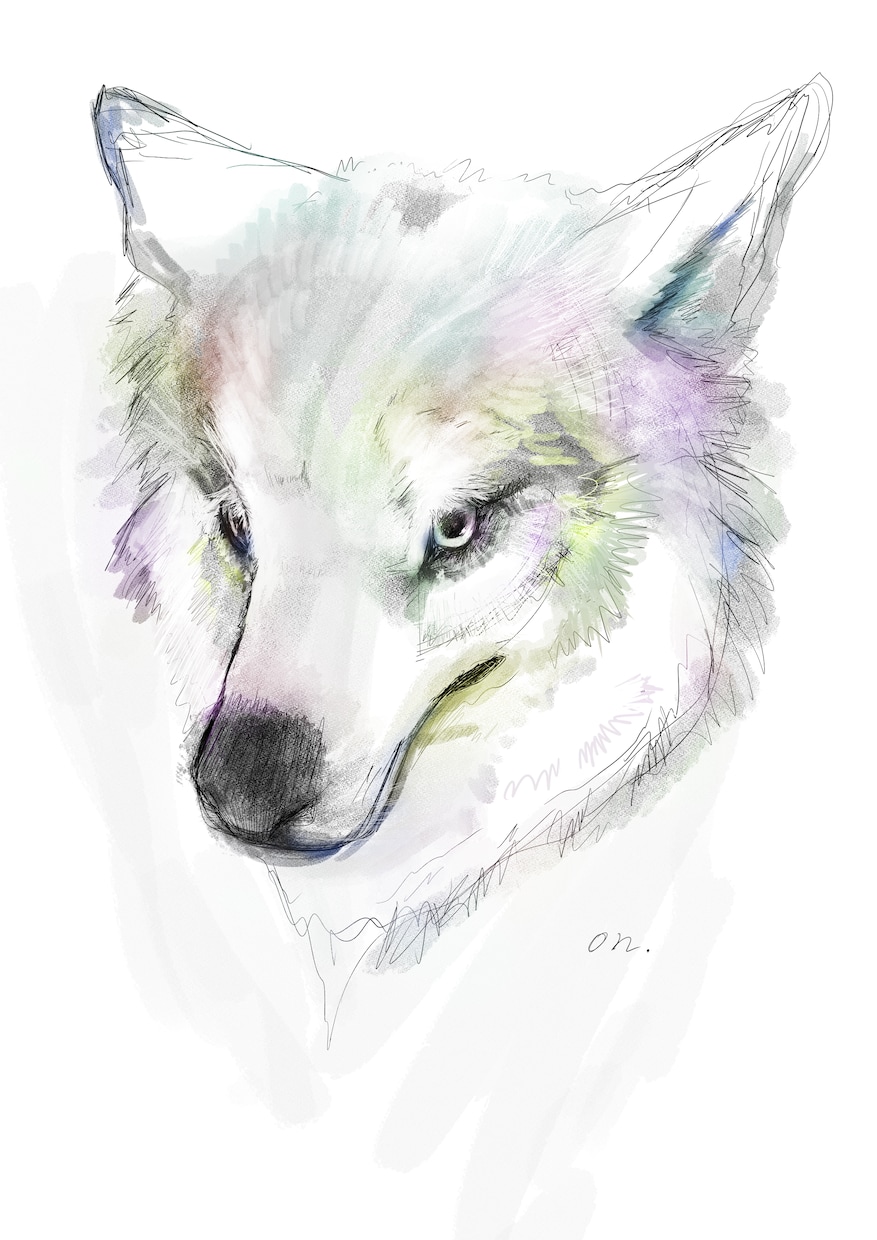 おんリスナー限定！アイコン・動物のイラスト描きます ペットのイラスト(犬猫以外も)イラスト作成します！背景は単色 イメージ8