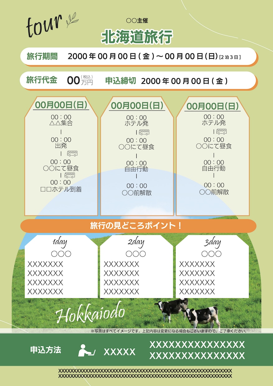 旅行のわくわくが詰まったチラシ作成します 1枚にギュッと情報を！パッと見やすく！季節感のある色を！ イメージ1