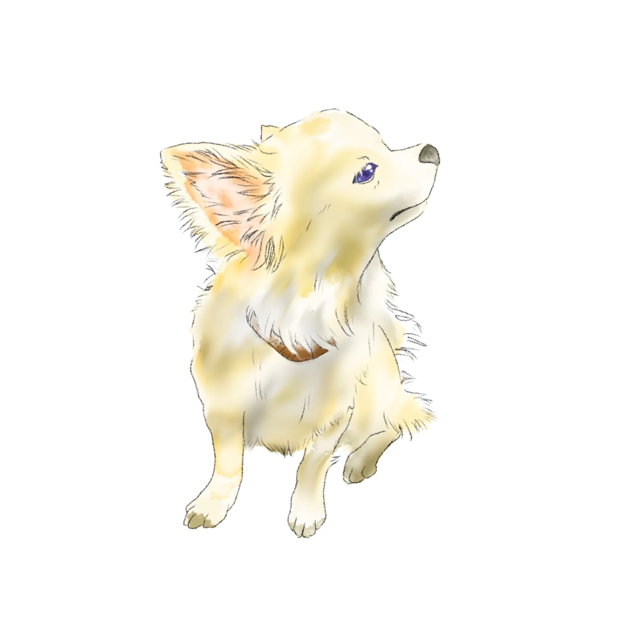 虹の橋を渡った【愛犬】を【イラスト】で甦らせます わんちゃんも【より可愛く♡より格好良く⭐︎】描きます イメージ2