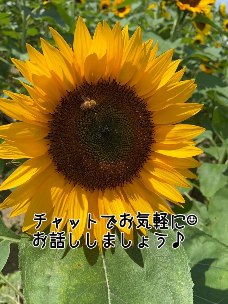 ちょっとした悩みや相談に乗ります 人生は一度っきり⭐︎前向きに楽しみましょう↑ イメージ1