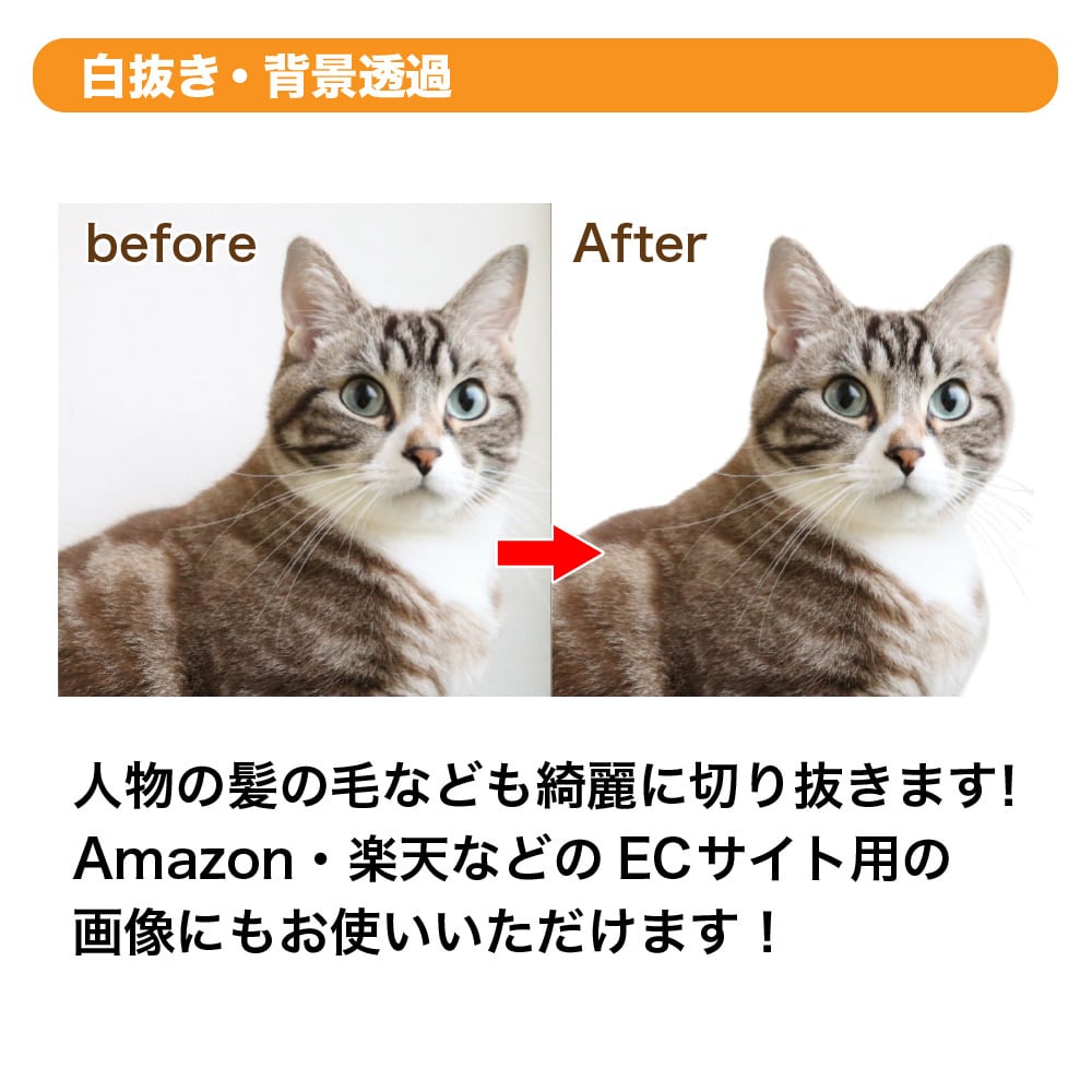 補正・レタッチ・背景透過などの画像加工承ります 低価格・高品質！画像加工なら何でもお任せください！ イメージ2