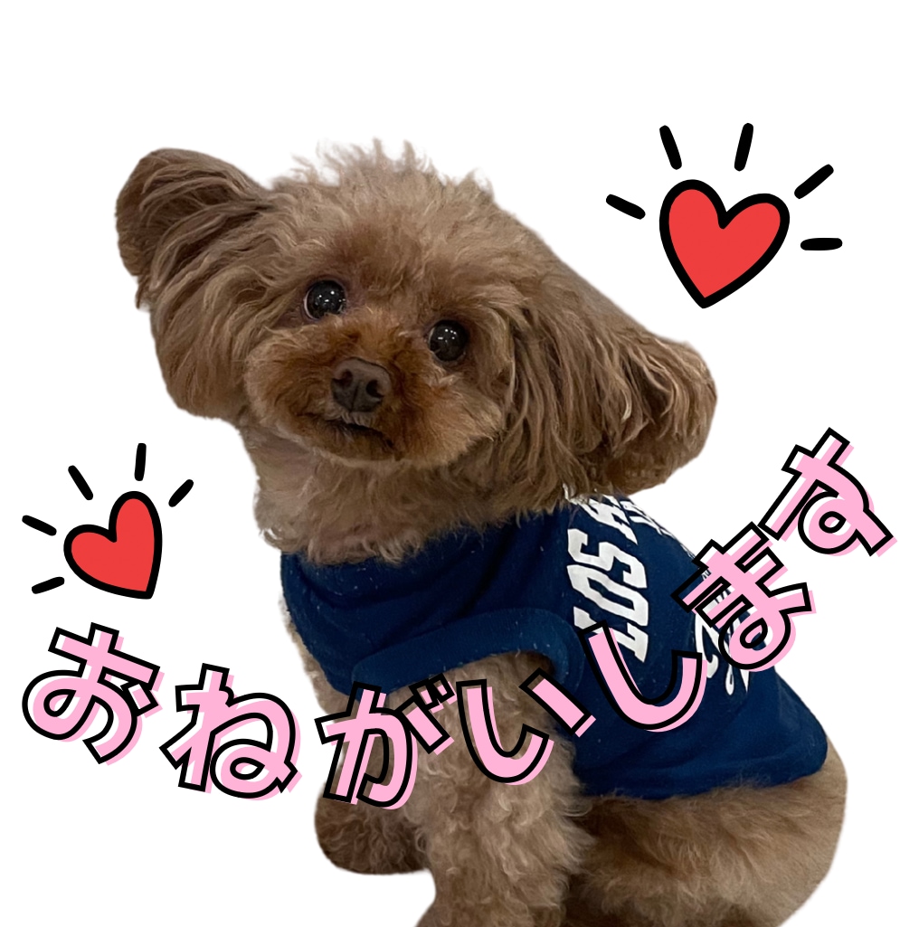 愛するお子様、ペットのラインスタンプつくります LINE公式への登録・販売申請まで行います イメージ4