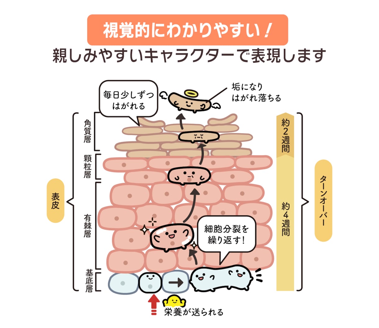 商用込み★ゆるかわで伝える図解イラスト制作します 難しいをわかりやすくして売り上げUPに繋げます！企業実績多数 イメージ3