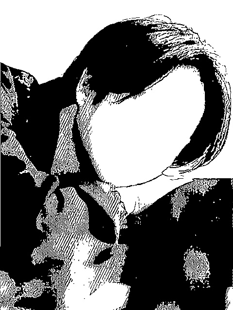 写真を元にイラスト/アイコンにします 好きな写真をイラストに！アイコン、商用利用、コピーOK☆ イメージ2