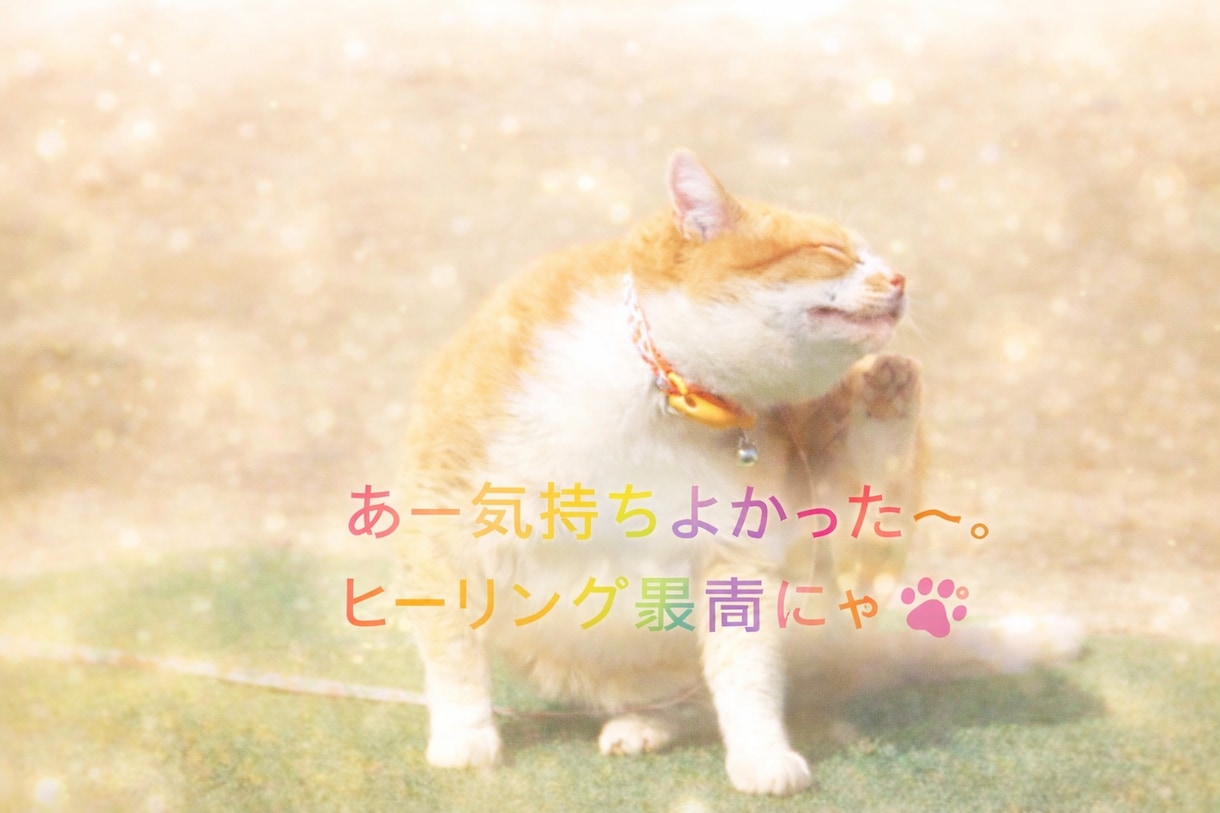やさしい光で包み込む《ペットヒーリング》行います あなたの大切な家族（ペット）に、心からの癒しを届けます。 イメージ7