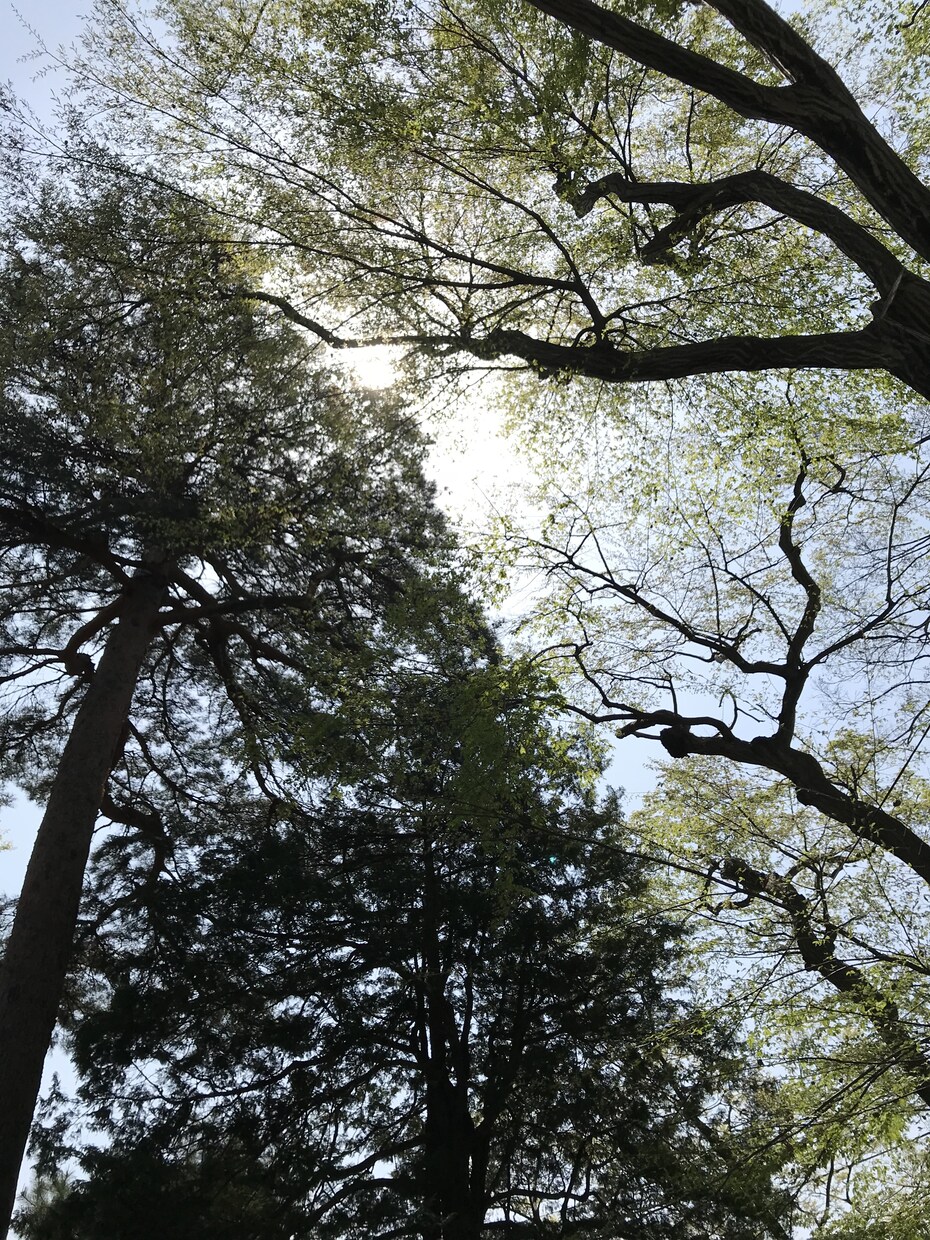 あなたの心のデトックスを手伝います 誰かと話したくなったり弱った時、どんなことでも親身に伺います イメージ2