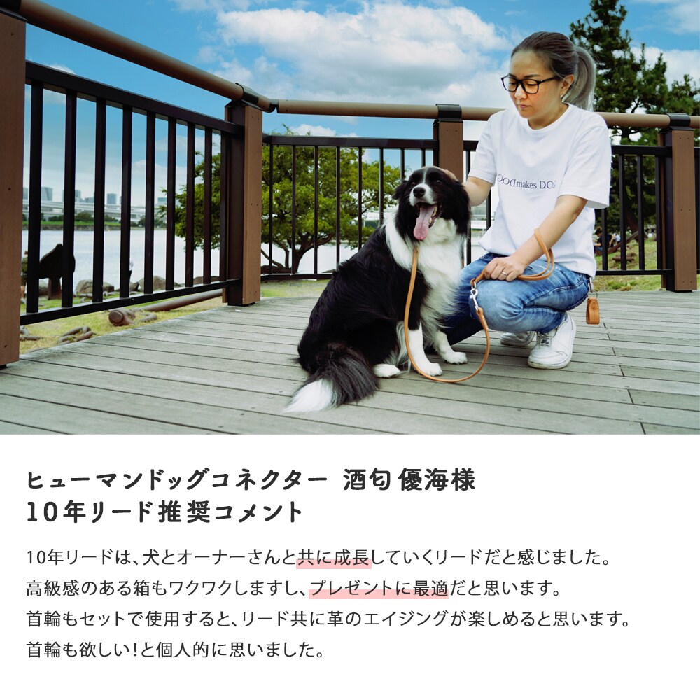 犬のプロがペットビジネスの成功をサポートします 監修、イメージ写真の撮影、PR、新規サービスの相談など イメージ3