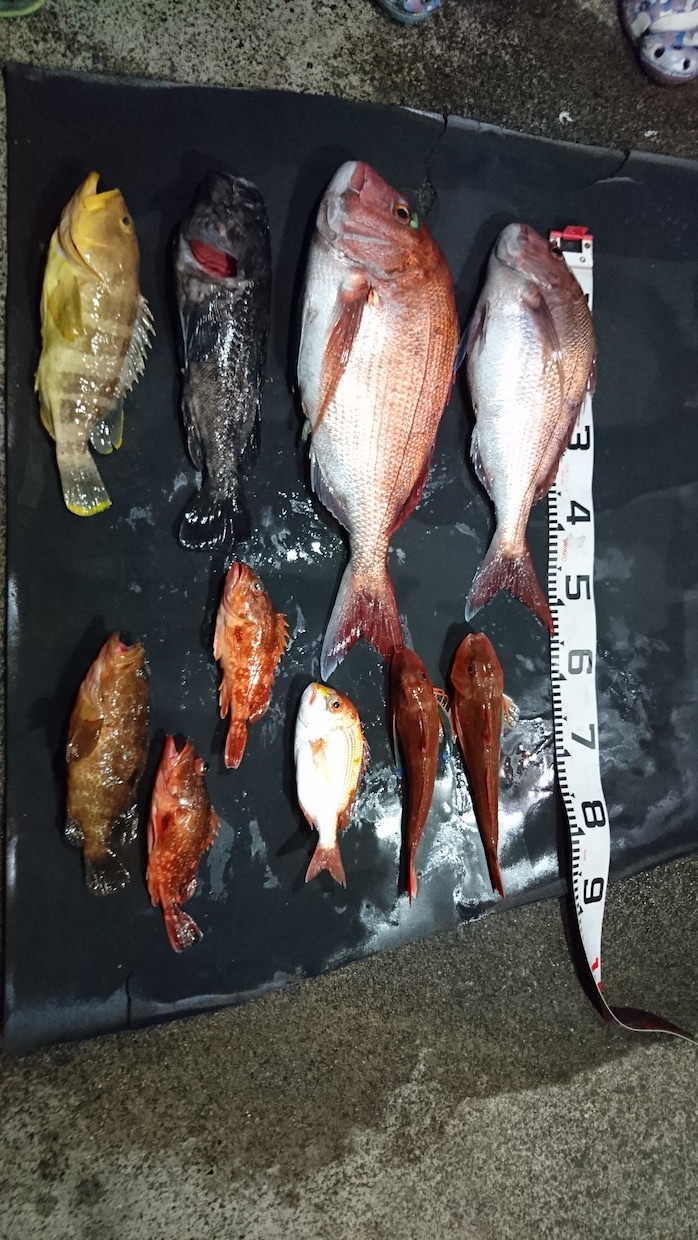 魚釣りを初めてみたいかた相談にのります 魚釣りやゴムボートフィッシング始めたいかた相談のります イメージ3
