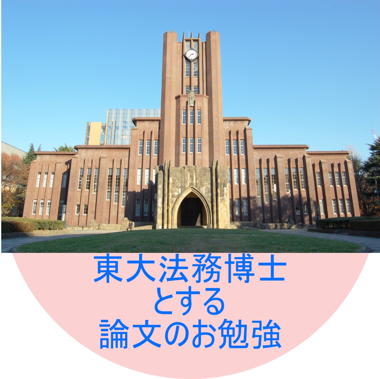 東大法務博士が論文・レポートのコーチ＆添削します 【文章を書きたくて仕方なくなる！】 イメージ1