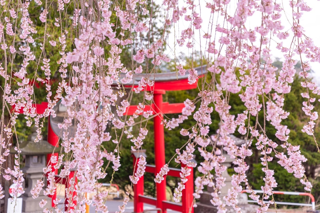 開運! 恋愛・健康・財運上昇の祈祷します 日々溜まる一方の負の波動を浄化後、神道の強力祈祷で開運！！ イメージ3
