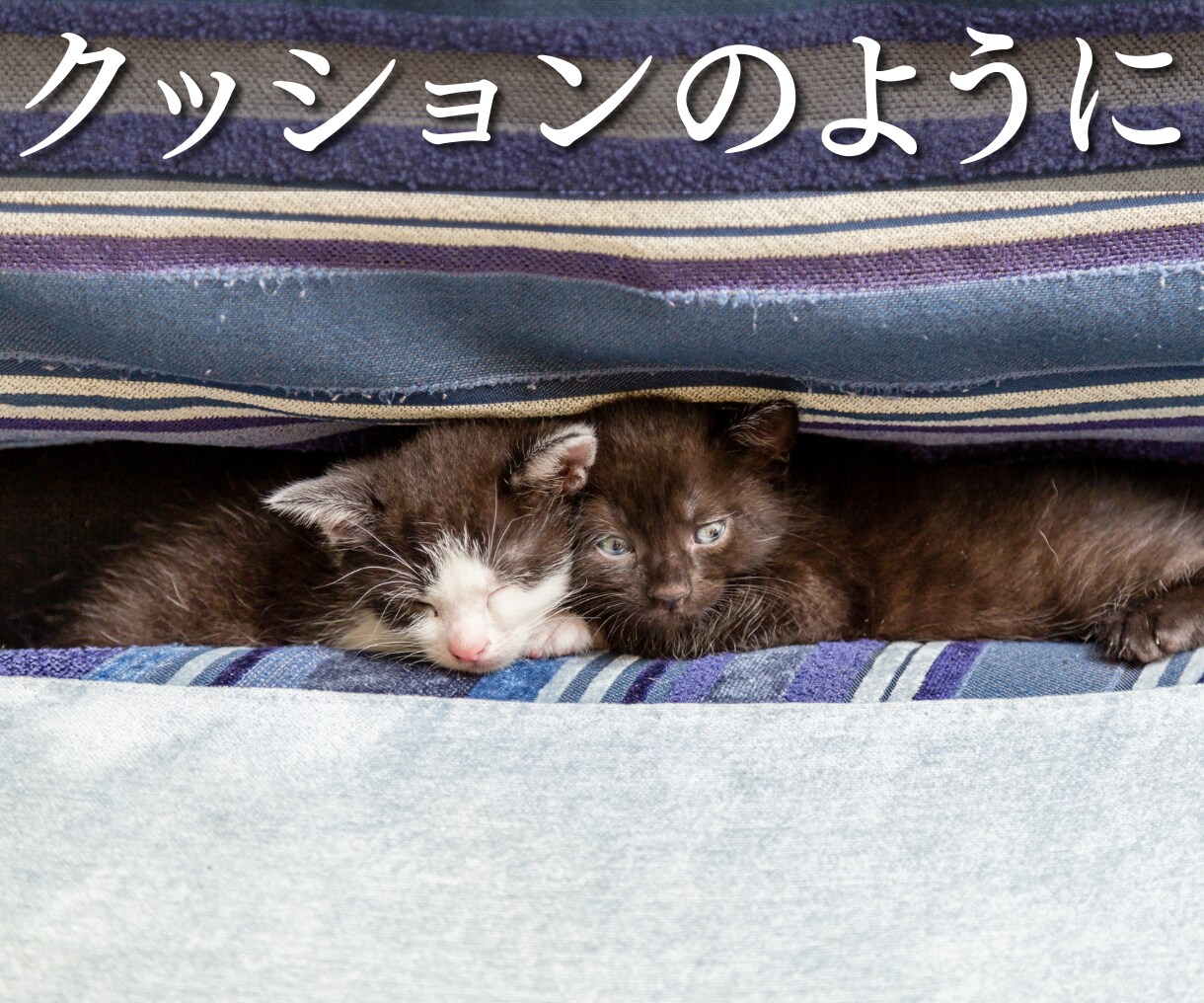 少しだけお話ししませんか？５分でもお聞きします 昔からの知り合いのようにゆるい感じで何でも話してください イメージ6