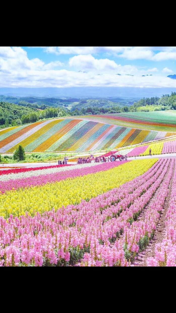 あなたのお話心をこめて聞きます 心の寄り処がない本当の自分が出せない前向きになりたい方 イメージ2