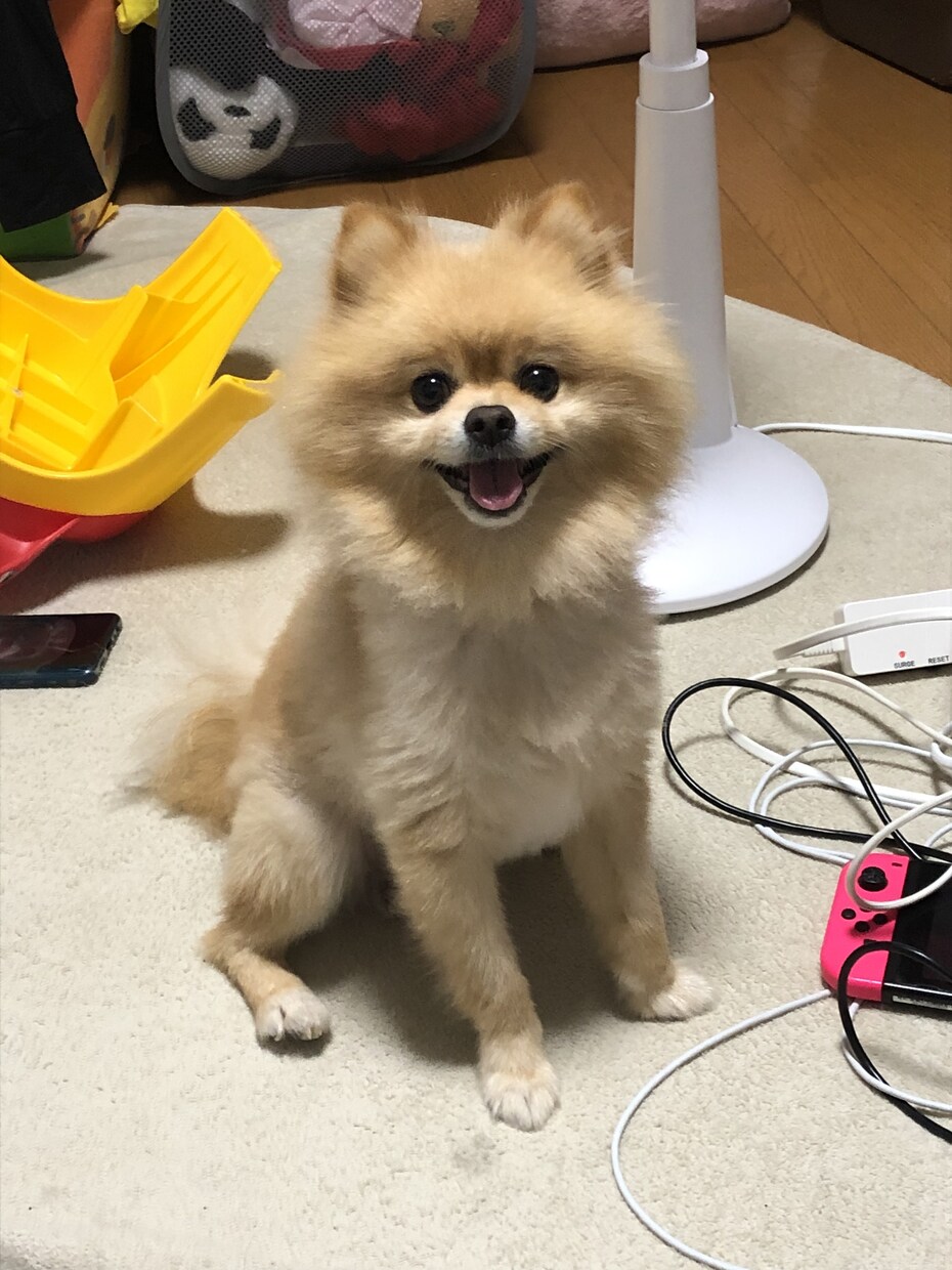 小さな愚痴やただ話きいてほしいだけでもお受けします 友達のような関係でお話しちゃってください！ イメージ2