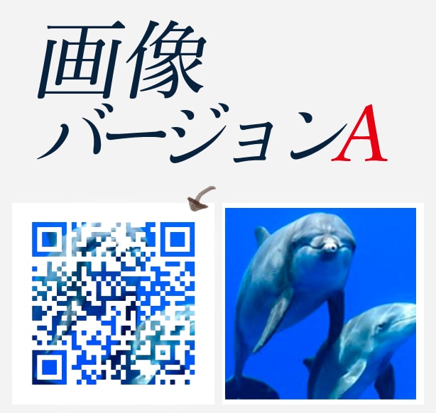 即納品！ロゴ入り可！QRコードを制作します Wi-Fiのネットワーク名とパスをQR化だと友達と共有に便利 イメージ2