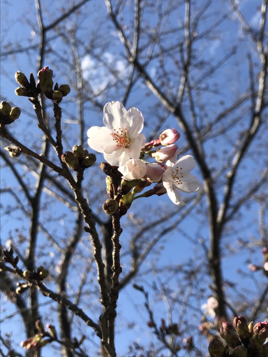 お悩み、愚痴、色々聞きます 挫折した経験をもとに親身になってお話を聞きます イメージ1