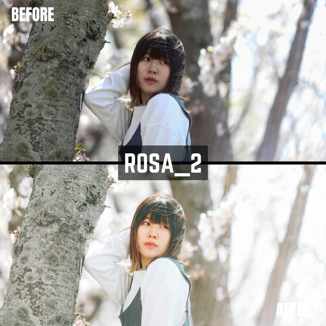 ROSA｜Lightroomプリセット販売します スマホで撮影した写真、ワンタッチで大変身！ イメージ6