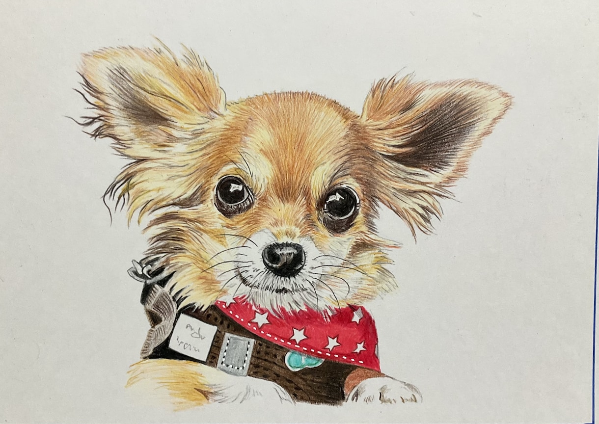 ペット似顔絵を色鉛筆で2Lサイズに描きます 写真を元に色鉛筆でペットの似顔絵をリアルに描きます。 イメージ4