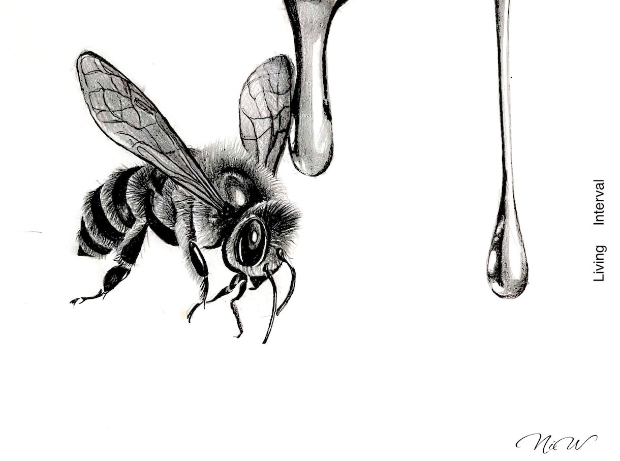 余白/躍動：アナログのペンシル画を描きます 余白と躍動を描くpencil drawing。 イメージ5