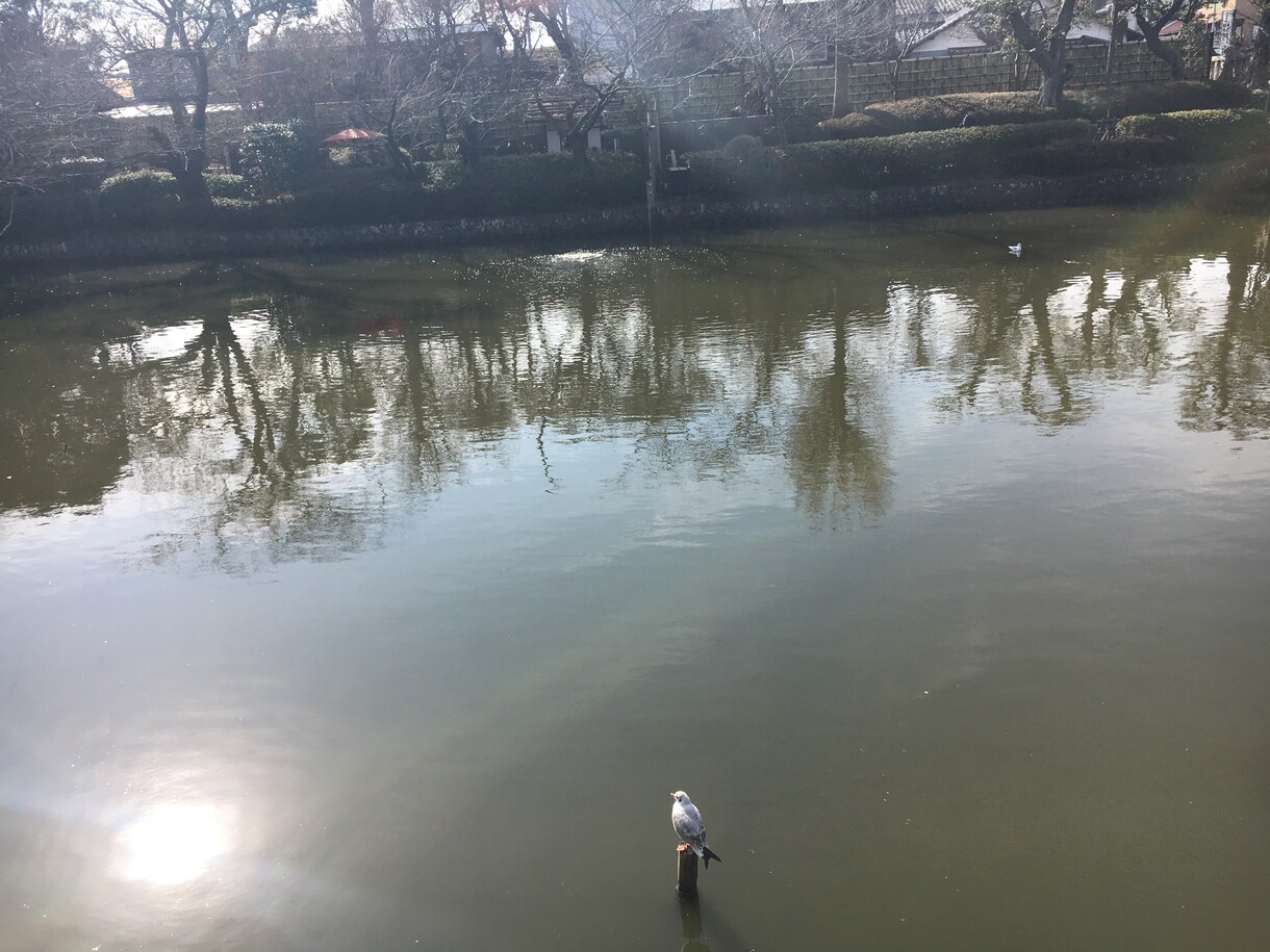 タロットからあなたの現状の学びをサポートします これからの必須スキル！自己解決力を身につけよう イメージ1