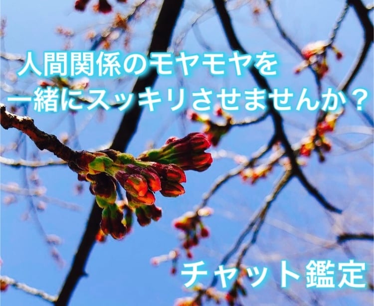 人間関係の悩みをタロットでサポート致します 【文字数制限なし】心を痛めている心配事お話下さい。 イメージ1