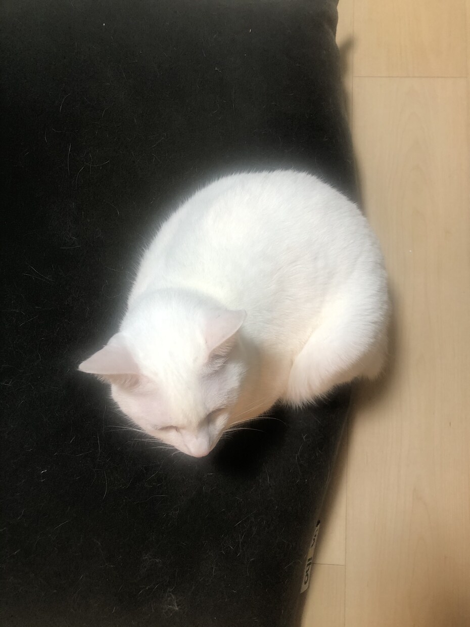 人生についていっしょに考えます 生きる意味ってなんだろうって考えたりしませんか？ イメージ1