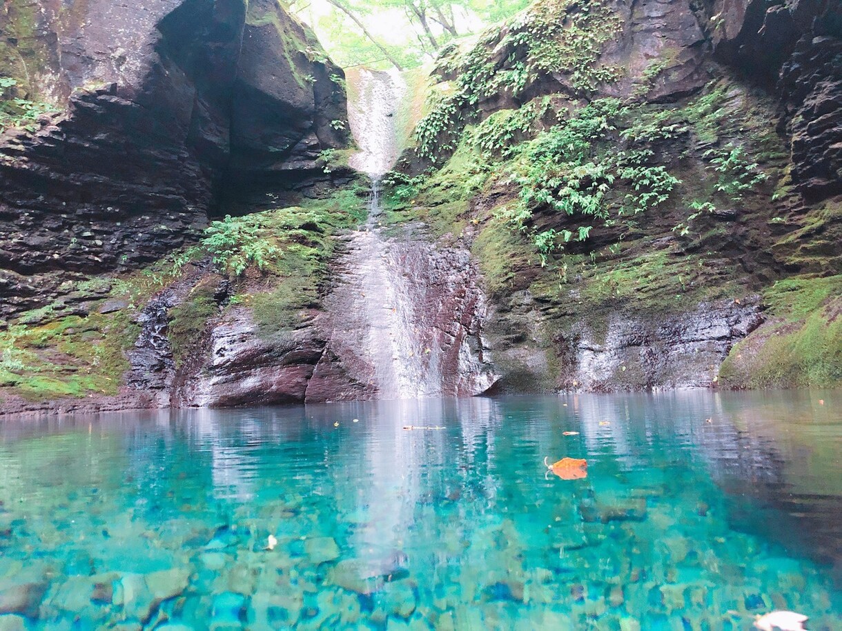 写真提供します 自然や小物、ペットのハムスターの写真などご要望に応じます。 イメージ3