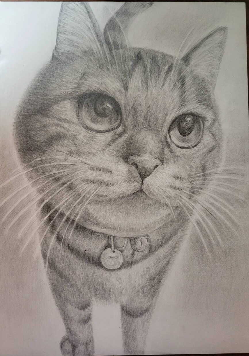 人物、ペット似顔絵作成します 細密鉛筆模写！SNSや名刺等にご活用ください イメージ4