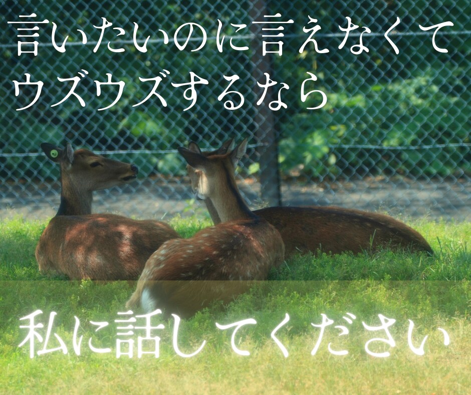 自慢話、なんでも聞きます 羨ましがられたい人、この指とまれ！ イメージ6